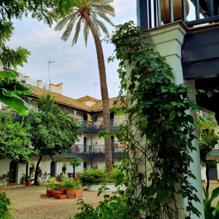 Andalusian Courtyard - Apartamento con vistas al jardín - 63