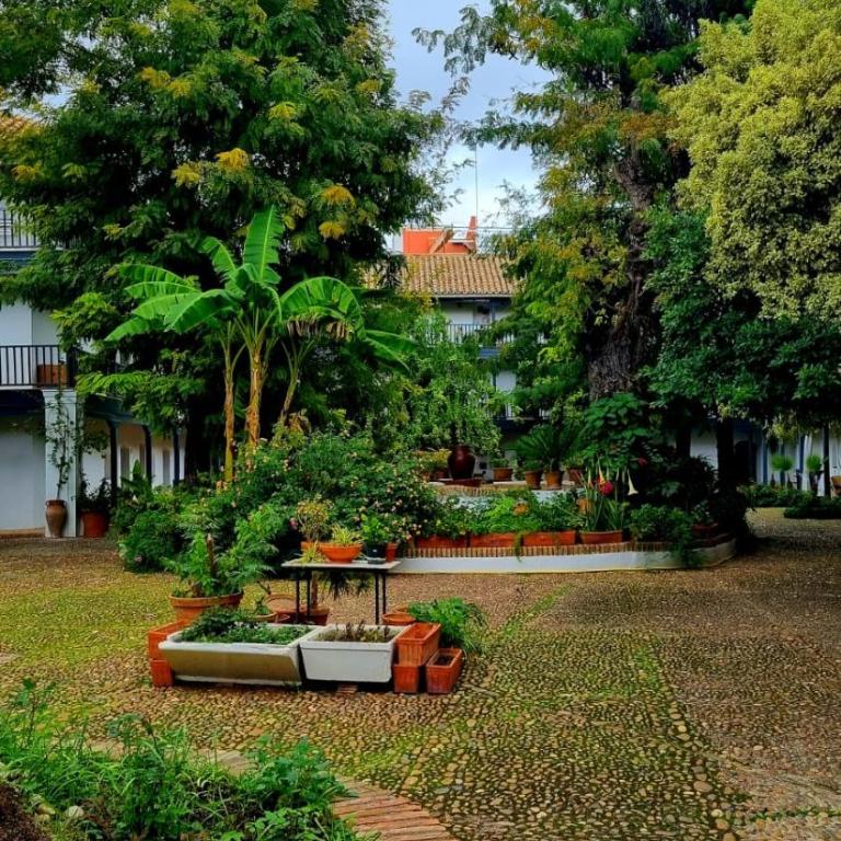 Andalusian Courtyard - Apartamento con vistas al jardín - 61