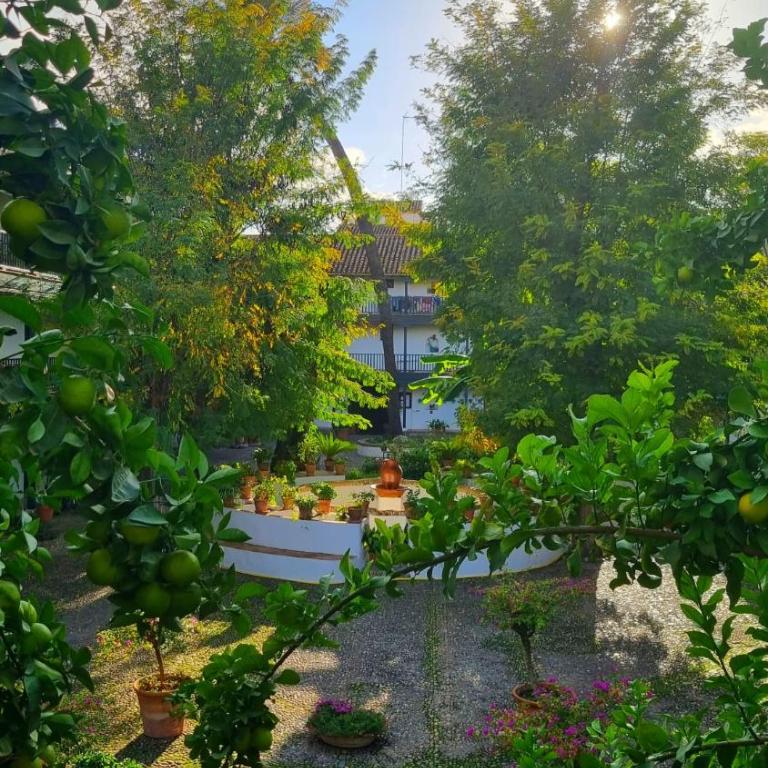 Andalusian Courtyard - Apartamento con vistas al jardín - 62