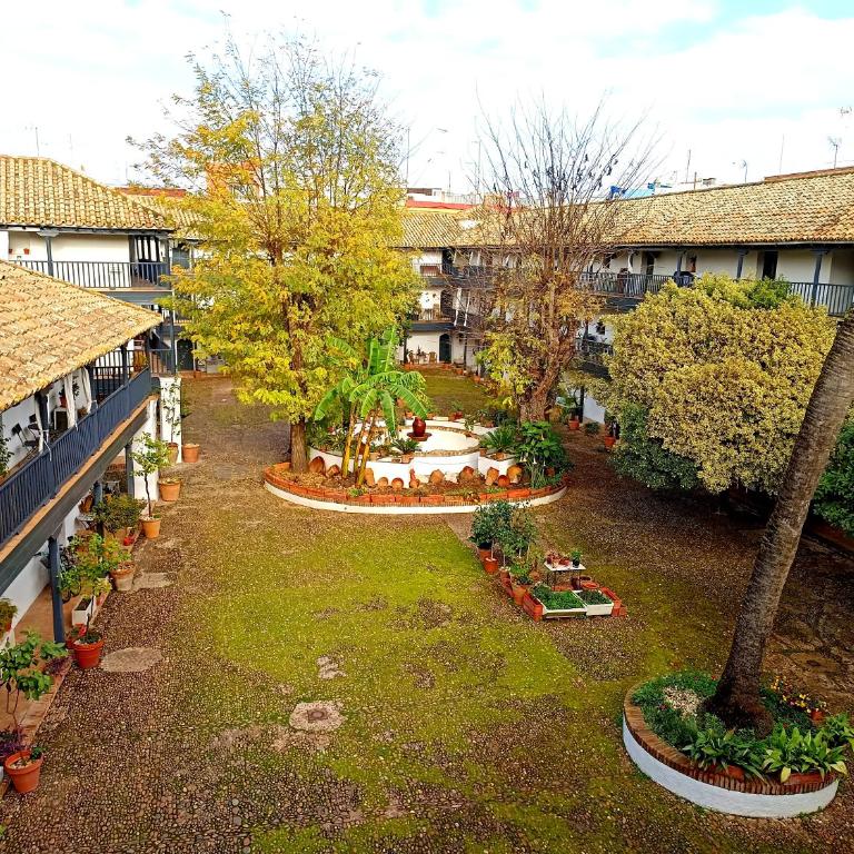 Andalusian Courtyard - Apartamento con vistas al jardín - 67