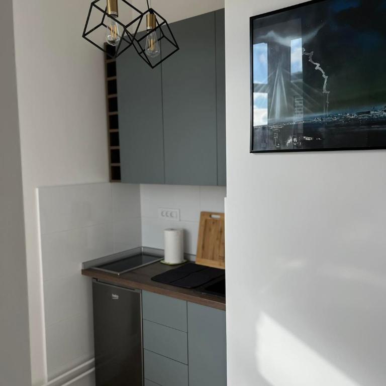 MUNJA Apartman - Apartman sa 1 Spavaćom Sobom - 12