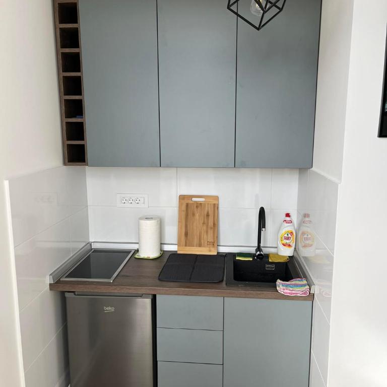 MUNJA Apartman - Apartman sa 1 Spavaćom Sobom - 16