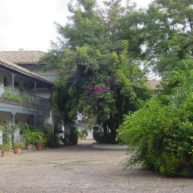 Andalusian Courtyard - Apartamento con vistas al jardín - 70