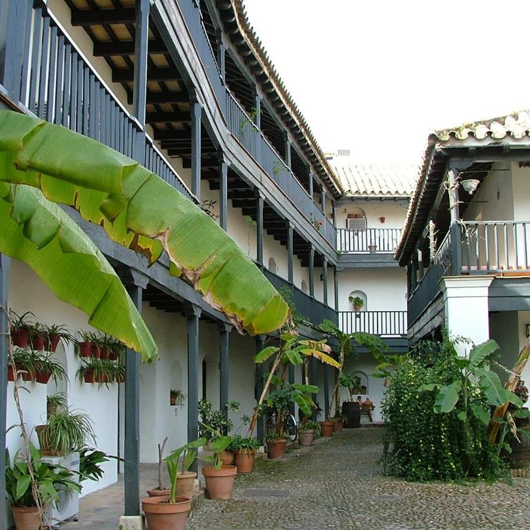 Andalusian Courtyard - Apartamento con vistas al jardín - 71