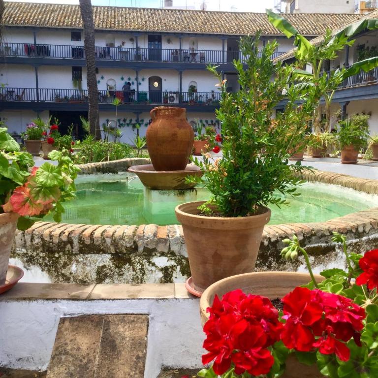 Andalusian Courtyard - Apartamento con vistas al jardín - 77