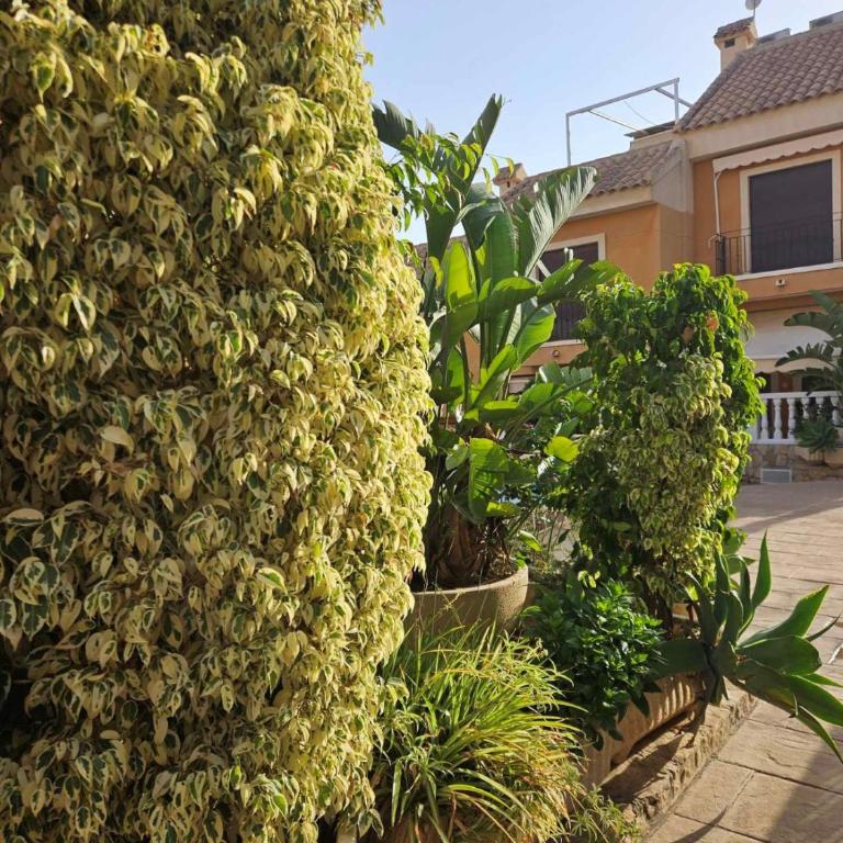 Mirador de Varadero - Apartamento de 2 dormitorios - 44
