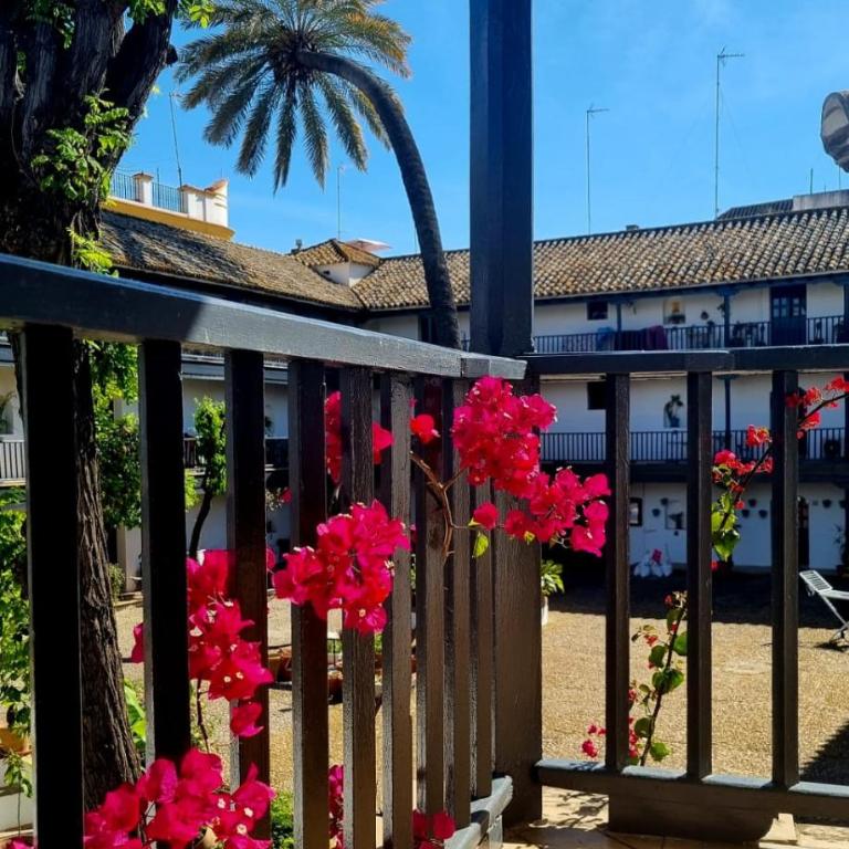 Andalusian Courtyard - Apartamento con vistas al jardín - 33