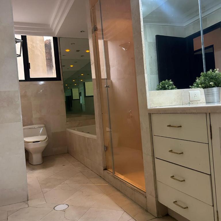 Espectacular dep Masaryck c/terraza - Apartamento de 3 dormitorios - 30
