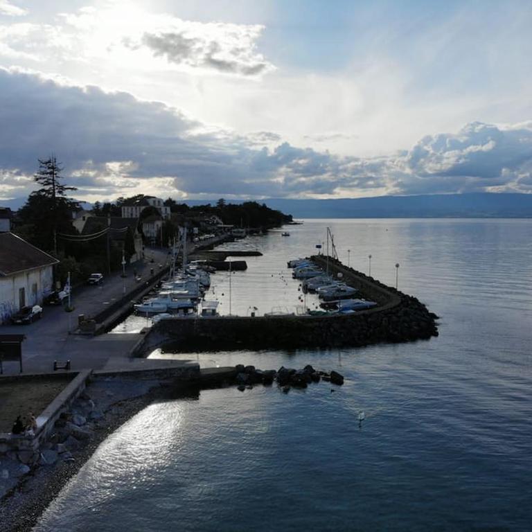 Studio Bellerive - Appartement 1 Chambre - 13