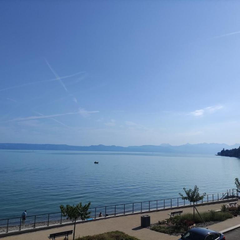Studio Bellerive - Appartement 1 Chambre - 11