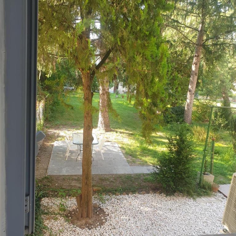 Magh1 - Appartamento con 2 Camere da Letto - 21