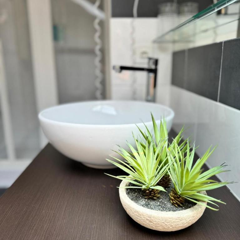 Hotel Locanda Castagnola - Suite Familiare - 15