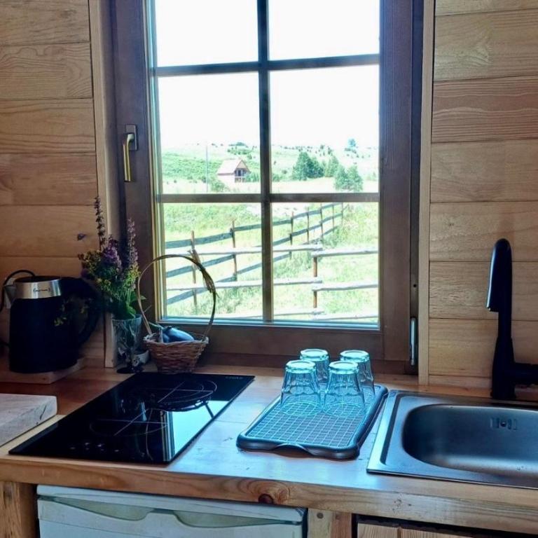 Wolf Apex - One-Bedroom House - 19