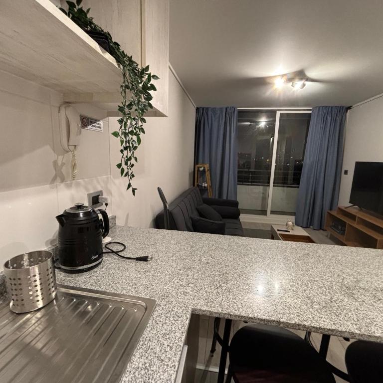 Hermoso Departamento en el corazon de Viña! - Apartamento de 2 dormitorios - 6