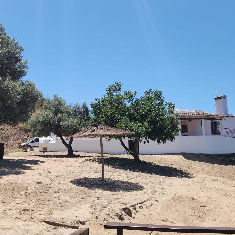Magnífica casa a orillas del guadiana - Casa de 3 dormitorios - 29