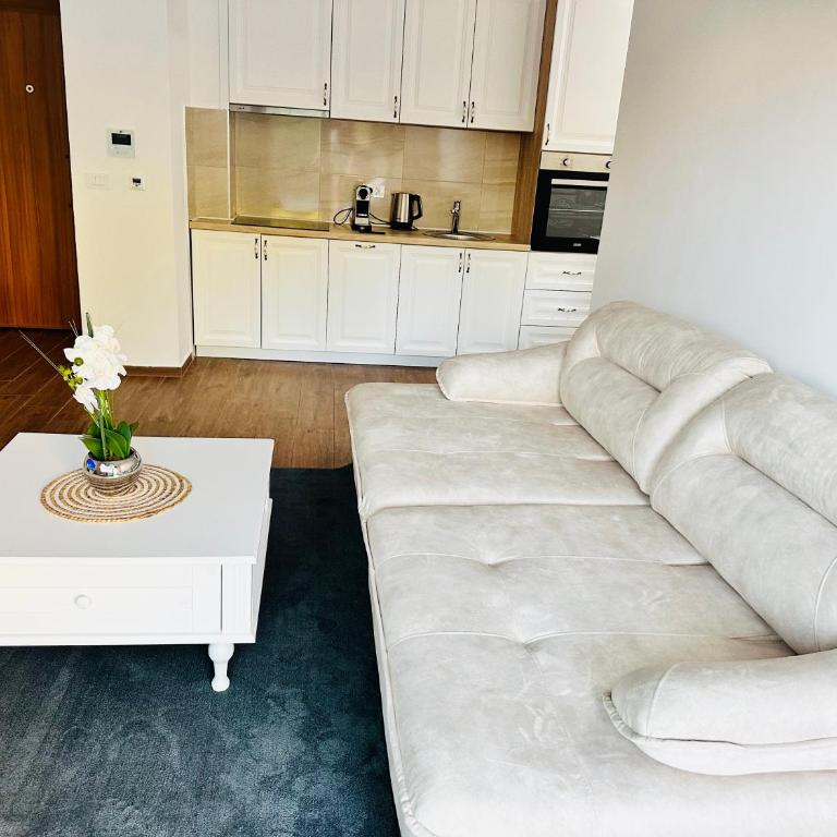 Swiss Luxury Appartement - Apartman sa 2 Spavaće Sobe - 38