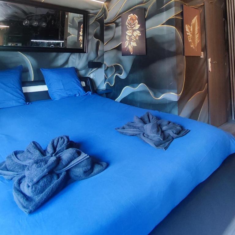 R luxury piscine et spa privatifs - Haus mit 1 Schlafzimmer - 20