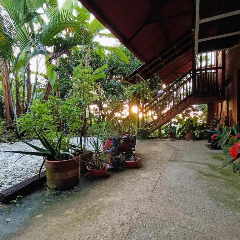 El Eden Minca - Family Room with Shared Bathroom - 13