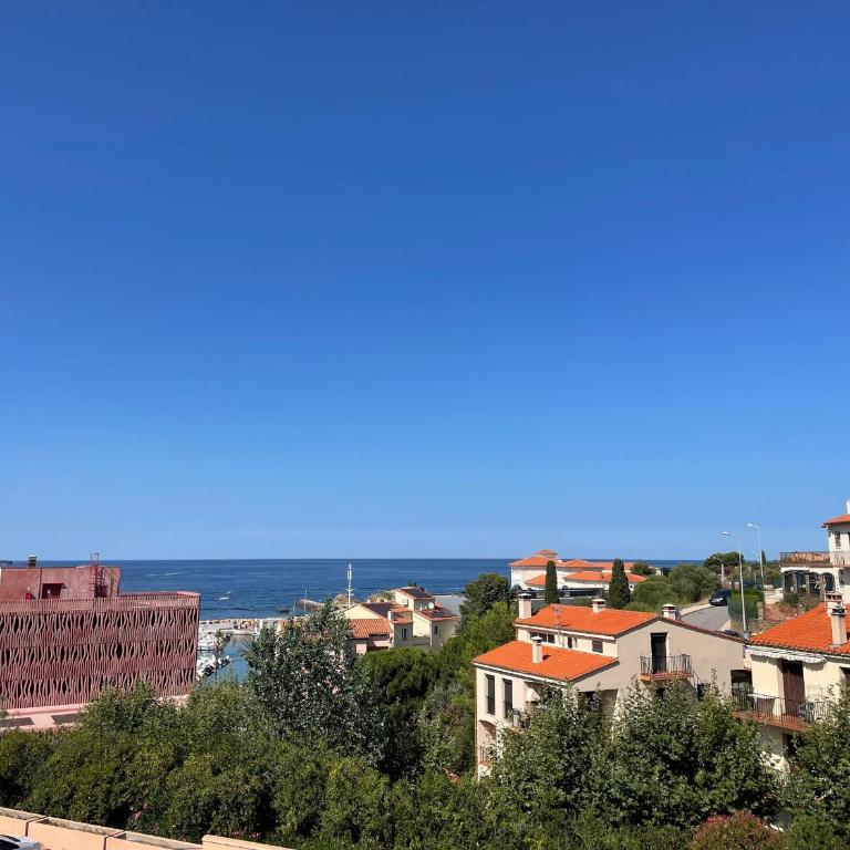 Studio calme avec terrasse et parking à Banyuls-sur-Mer - FR-1-309-87 - Studio - 1