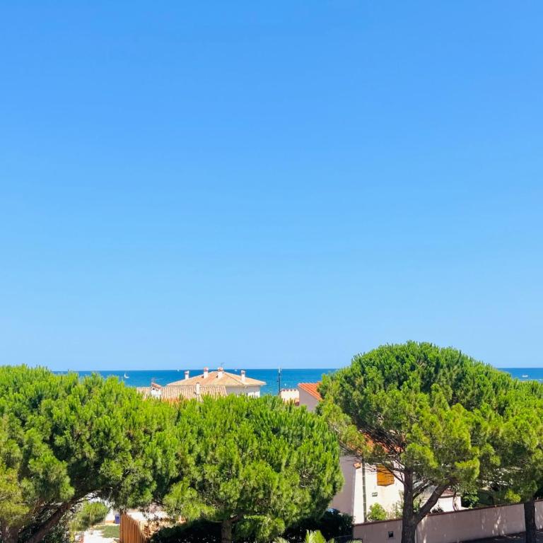 T2 Vue Mer, Parking Privé, St-Cyprien Plage - FR-1-309-478 - Apartment - 1