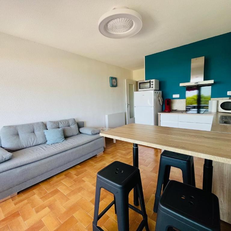 T2 Vue Mer, Parking Privé, St-Cyprien Plage - FR-1-309-478 - Apartment - 5
