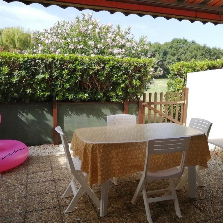 Studio rénové avec piscine et tennis, à 500m de la plage, pour 4 pers, à Argelès-sur-Mer - FR-1-776-106 - Studio - 1