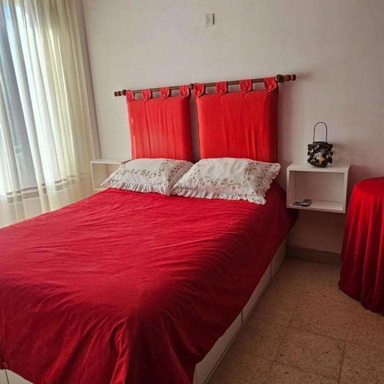 Loft Rouge MDQ se reserva con seña - Apartamento de 1 dormitorio - 2