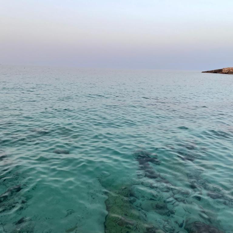 Monopoli Roof - Appartamento con 3 Camere da Letto e Vista Mare - 58