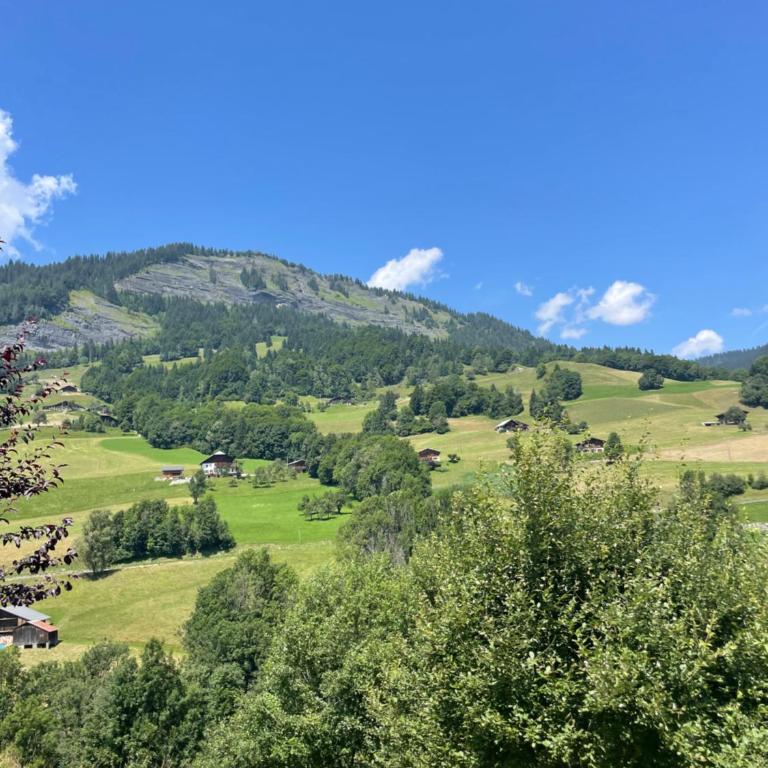 Chalet des evettes - Appartement 2 Chambres - 15