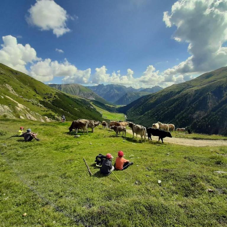 Tea da Nardo in Val Federia - Appartamento con 2 Camere da Letto - 16