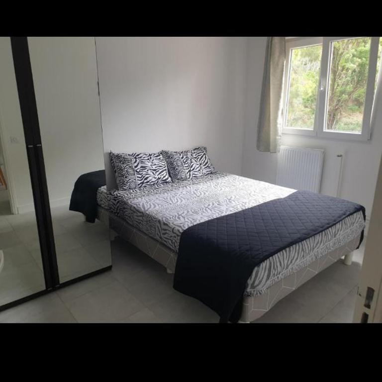 Grand Appartement, 2 ou 3 ou 4 pieces, tramway sur place, proche gare sncf St Augustin 900 metre , aéroport 1200 metre, plage ou Allianz riviera 10 min, palais nikaia 2 min , supermarché sur place, parking possible si disponible ou payant à 1000 metre - Apartamento - 3