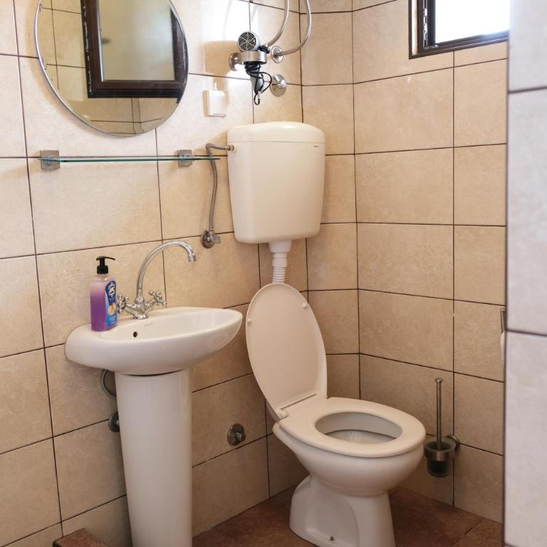 Apartmani Janosevic - Apartman sa Balkonom - 5
