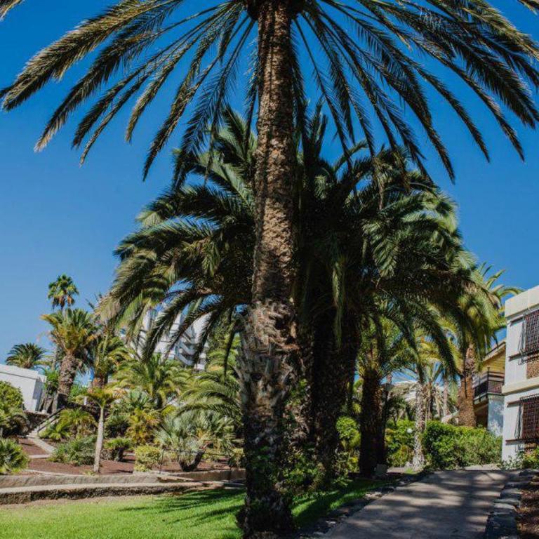 Rocas Rojas - One-Bedroom Apartment - 5
