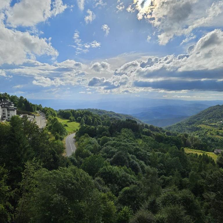 Apartman L53 Milmari Kopaonik - Apartman sa Pogledom na Planinu - 4