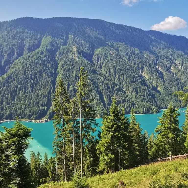 Premium Apartments am Weißensee - Apartment mit 2 Schlafzimmern - 41