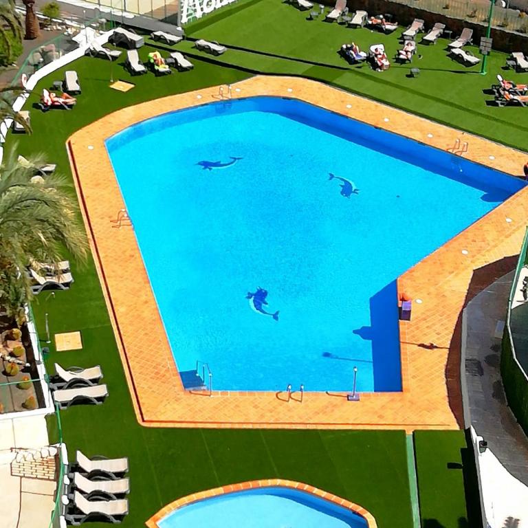 Los Molinos 502 - Apartamento de 1 dormitorio - 1