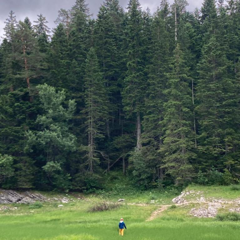 Woodhouse Studio - Apartment mit 1 Schlafzimmer - 14