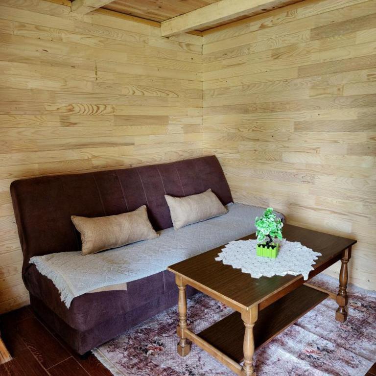 Forest Cabin 3 - Brvnara sa 1 Spavaćom Sobom - 9