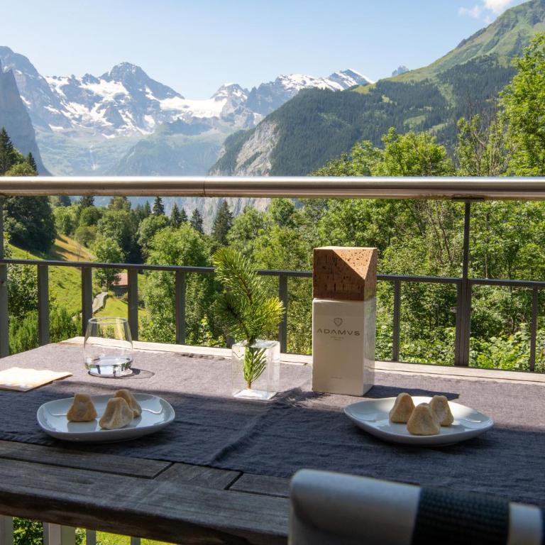 Chalet Mittaghorn Apt 5 - Deluxe Apartment mit Balkon und 2 Schlafzimmern - 8