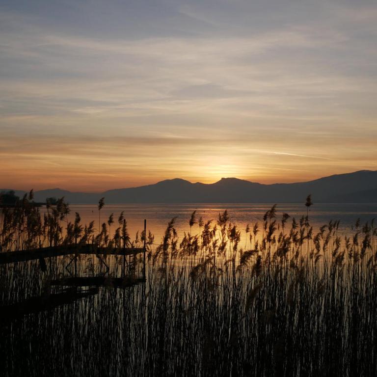 Kusmi Love proche du lac - Appartamento con Balcone - 20