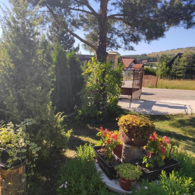 Apartman Marija - Apartman sa 1 Spavaćom Sobom - 16