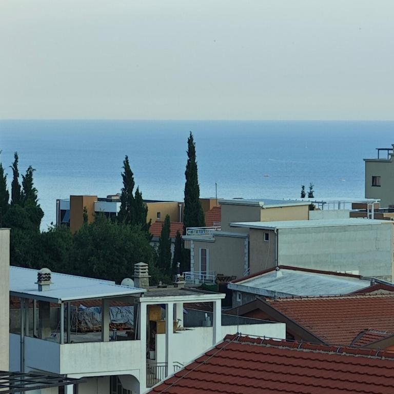 Vila Varagic - One-Bedroom Apartment with Balcony - 3