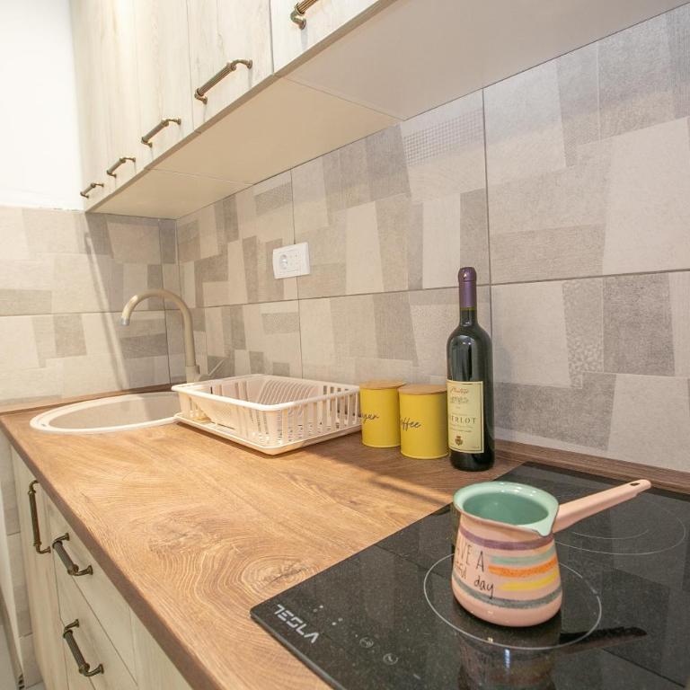 Vila Varagic - One-Bedroom Apartment with Balcony - 4