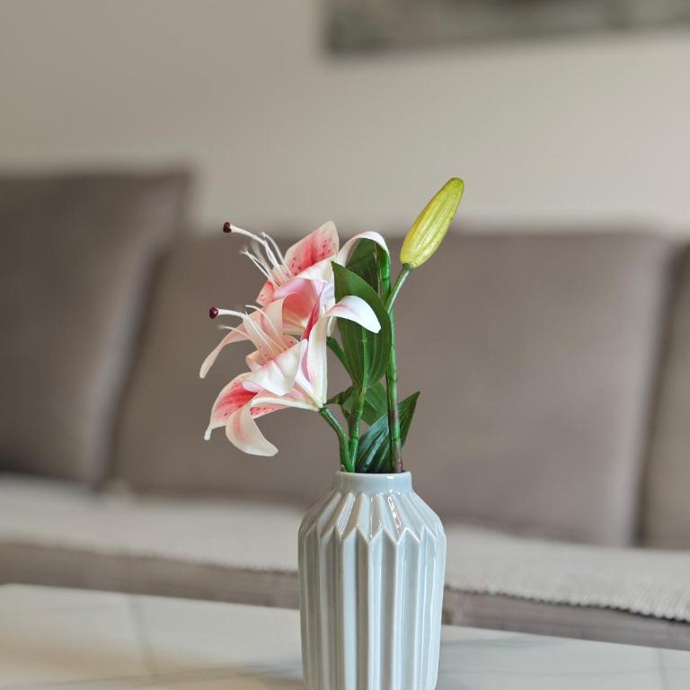 Vila Varagic - One-Bedroom Apartment with Balcony and Sea View - 6