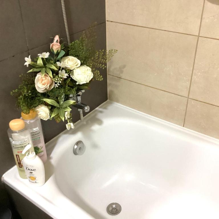 A11Fantasilandia E gratis - Apartamento de 1 dormitorio - 8