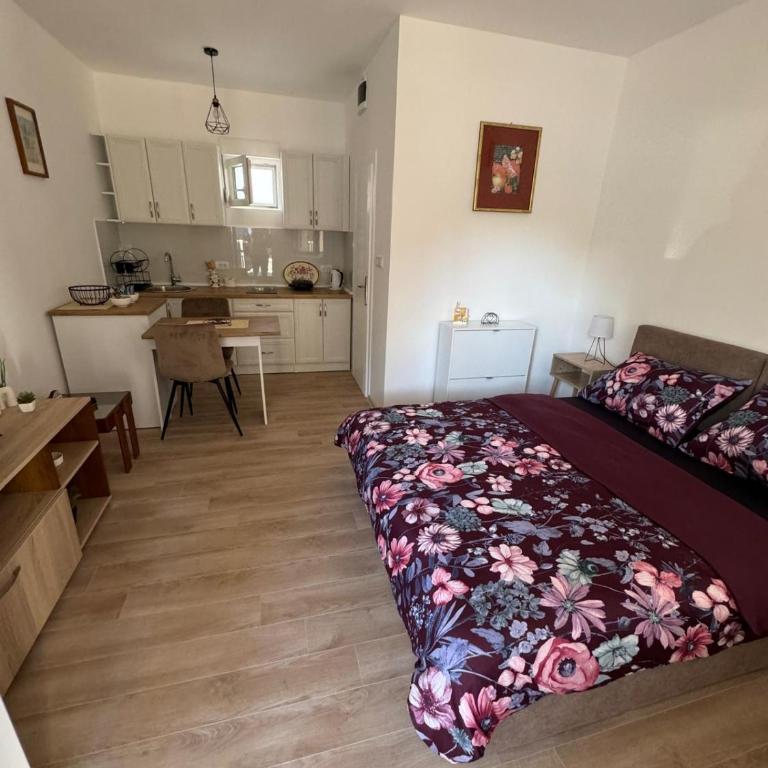 Apartman Milinkovic - One-Bedroom Apartment - 1