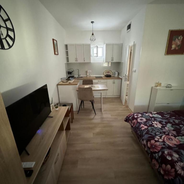 Apartman Milinkovic - One-Bedroom Apartment - 12