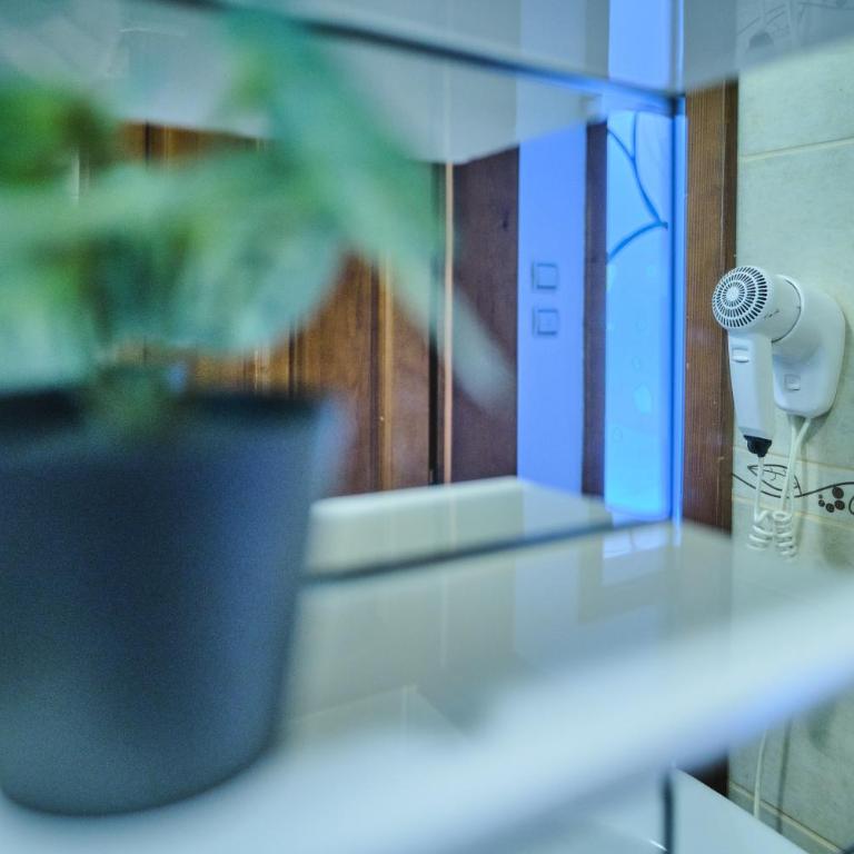 ŽUPAN apartmani - Apartman sa Terasom - 2