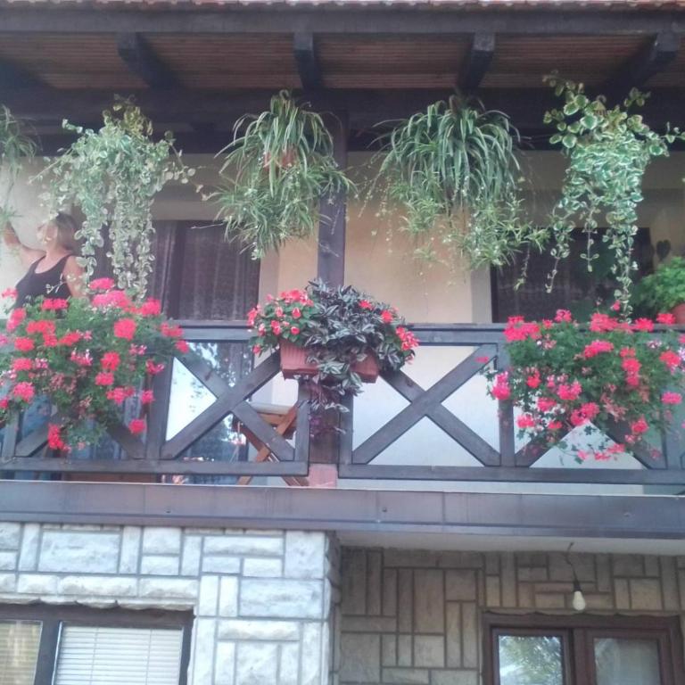 Privatni Smeštaj Tešević - Apartman - Prizemlje - 7