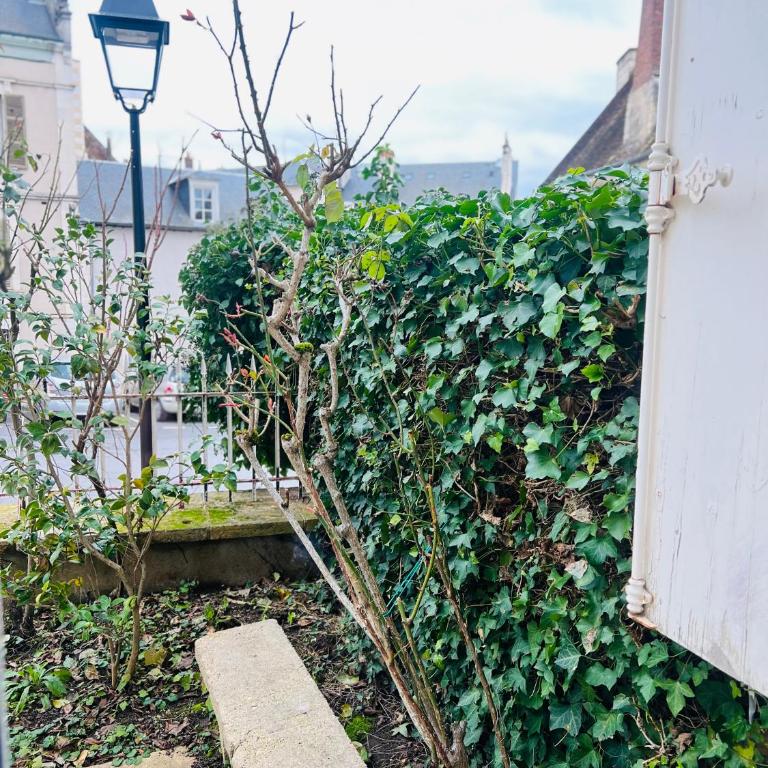 Le coeur de Bourges - Appartement 1 Chambre - 9